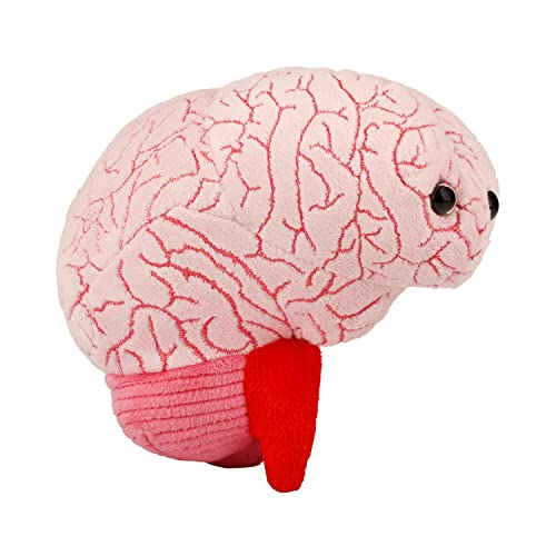GIANTmicrobes Brain Plush, Brain Toy, Brain Stuffed Animal, Brain Gifts For Neurologist, Brain Surgery Recovery Gifts, Neurology Gifts, Neuroscience Gifts, Brain Injury Gift, Brain Decor, Biology Gift