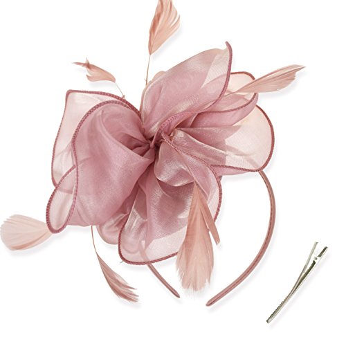 DRESHOW Fascinators Hat Tea Party Headwear Ribbons Feathers on a Headband and a Clip for Girls and Women