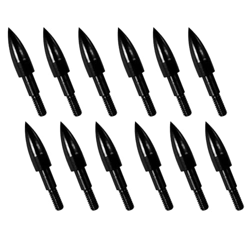 12pcs Archery Arrow Tips 100 Grain Field Tips 5/16 Inch Screw in Bullet Points, Archery Target Crossbow Practice Tips for Arrows Recurve Bow Compound Bow, Hunting Bow and Arrow Target Practice