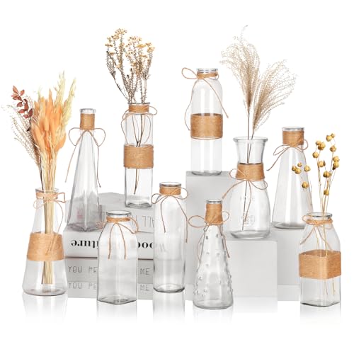 Nilos 10pcs Small Bud Glass Vases for Centerpieces Wedding Decorations, Clear Vases for Flowers, Mini Vintage Glass Flower Vase with Rope Design and Differing Shapes for Farmhouse Home Decoration