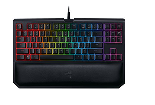 Razer BlackWidow TE Chroma v2 TKL Tenkeyless Mechanical Gaming Keyboard: Orange Key Switches, Tactile & Silent, Chroma RGB Lighting, Magnetic Wrist Rest, Programmable Macros, Classic Black