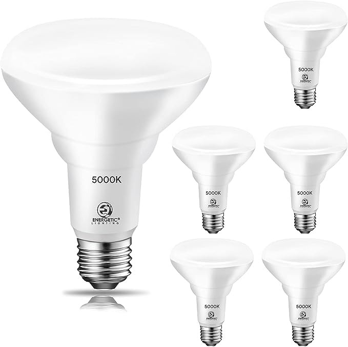 Energetic 6 Pack 65W BR30 LED Recessed Light Bulb, Dimmable, 650 Lumens, 5000K Daylight, E26 Base, Indoor Flood Light for 5/6 Inch Cans, UL Listed