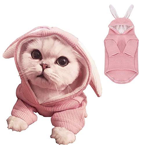 ANIAC Bunny Ears Dog Hoodies for Small Dog Easter Cat Outfit Spring Puppy Sweatshirt Soft Doggy Sweater Easter Pet Costume for Kitten Cats XS Dogr (Medium, Pink)