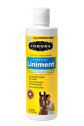 Manna Pro 1000193 62620 Corona Topical Analgesic Veterinary Liniment, 16 Ounces