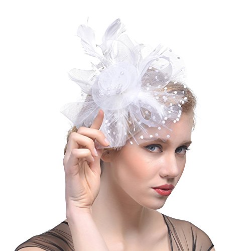 DRESHOW Fascinators Hat Flower Mesh Ribbons Feathers on a Headband and a Clip Tea Party Headwear for Girls and Women