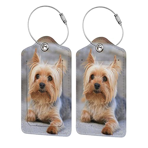 Axrbszi Cutest Yorkies Leather Luggage Tag Name ID Labels with Privacy Cover, for Travel Baggage Bag Suitcase 2 PCS