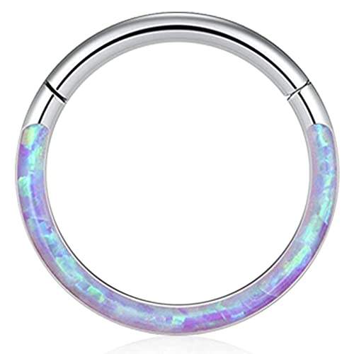 Uzgtvy Septum Ring Jewelry 16G Stainless Sugical Steel Septum Hinged Segment Seamless Clicker Nose Nostril Ring Belly Button Hoop Daith Rook Cartilage Helix Tragus Earring Piercing Jewerly Women Men