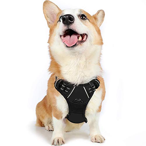 rabbitgoo Dog Harness, No-Pull Pet Harness with 2 Leash Clips, Adjustable Soft Padded Dog Vest, Reflective No-Choke Pet Oxford Vest with Easy Control Handle for Medium Dogs, Black, M