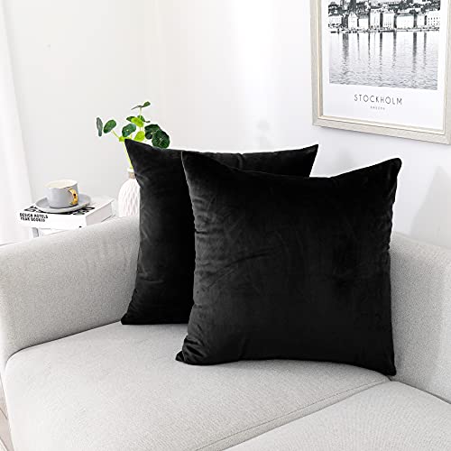 NiNi ALL Decorative Throw Pillow Covers Velvet Soft for Couch Sofa Bedroom Living Room Outdoor Pack of 2 18x18 Inch Black