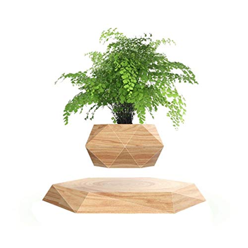 KIYOMING Levitating Plant Pot Hexagon Floating Air Bonsai Pot Suspension Flower Pot Planter for Office Home Decoration