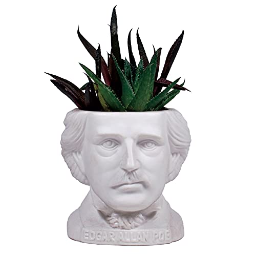 The Unemployed Philosophers Guild Edgar Allan Poe Bust Ceramic Planter