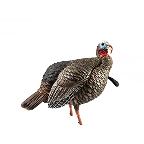 Avian-X HDR Jake Turkey Decoy | Rugged Durable Realistic Lifelike Quarter-Strut Body Standing Hunting Decoy with 2 Removable Heads, Mounting Stake & Carry Bag