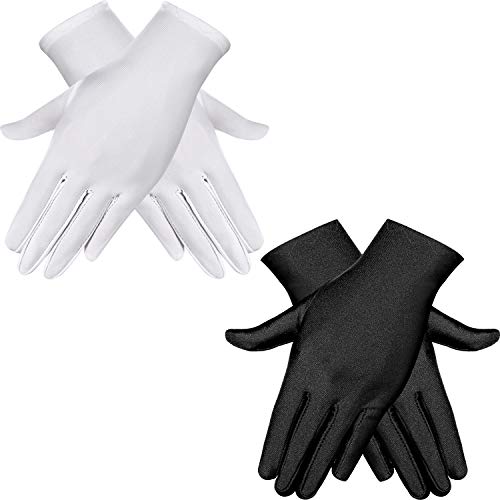 HESTYA 2 Pairs Satin Gloves Adult Spandex Gloves Gown Opera Gloves Party Cosplay for Women Men