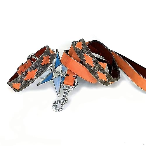 Gaucho Woven Leather Collar & Leash, 13”-16”