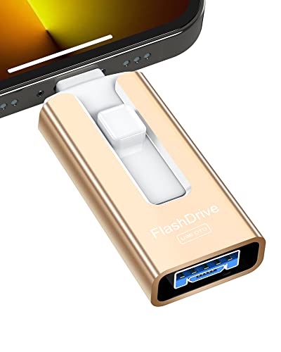 Sunany USB Flash Drive 256 GB for Phone and Pad, High Speed External Thumb Drives USB Memory Storage Photo Stick for Save More Photos and Videos (Gold)