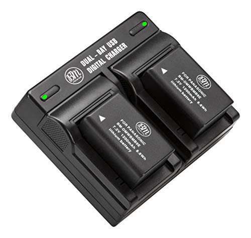 BM Premium 2 Pack of DMW-BMB9 Batteries and Dual Battery Charger for Panasonic Lumix DC-FZ80, DMC-FZ40K, DMC-FZ45K, DMC-FZ47K, DMC-FZ48K, DMC-FZ60, DMC-FZ70, DMC-FZ100, DMC-FZ150 Digital Camera