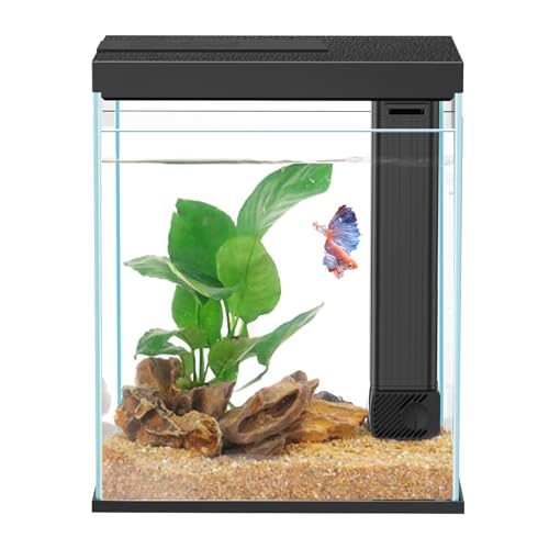 Betta Fish Tank, 2 Gallon Glass Aquarium Starter Kit, Small Fish Tank with Filter and Light.(Black)