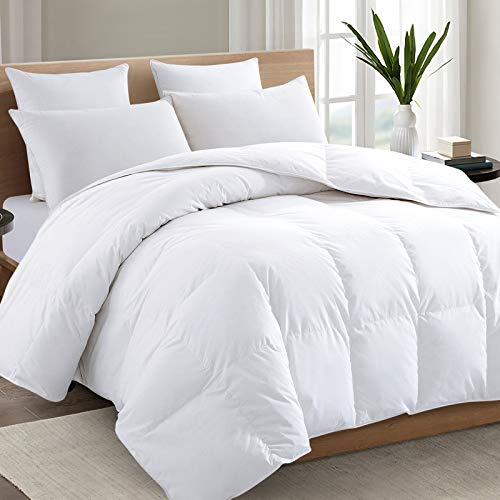 TEXARTIST Premium 2100 Series Queen Comforter All Season Breathable Cooling White Comforter Soft 4D Spiral Fiber Quilted Down Alternative Duvet with Corner Tabs Luxury Hotel Style (88'x88')