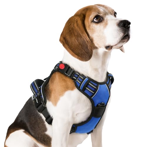 rabbitgoo Dog Harness Medium Sized, No Pull Pet Harness with 3 Buckles, Adjustable Soft Padded Dog Vest with Instant Control Handle, Easy Walking Reflective Pet Vest for Medium Dogs, Blue, M