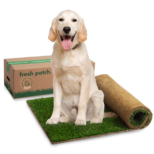 Fresh Patch Real Grass Patch for Dogs, Cats, and Extra Large Pets 30 Pounds and Above – Disposable Pet Grass Pee Pads – Indoor and Outdoor Potty Training Mat (24 Inches x 48 Inches)