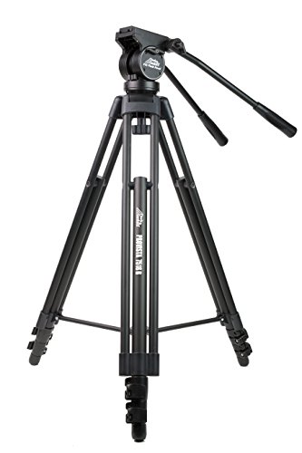 Davis & Sanford PROVISTA7518B Pro Video Tripod with V18 Fluid Head, Black