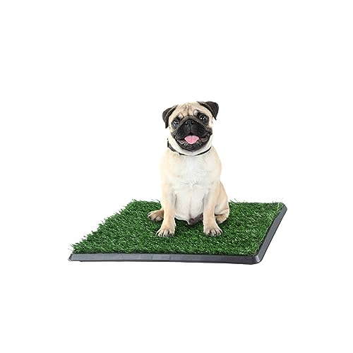 Artificial Grass Puppy Pee Pad for Dogs and Small Pets - 16x20 Reusable 3-Layer Training Potty Pad with Tray - Dog Housebreaking Supplies by PETMAKER
