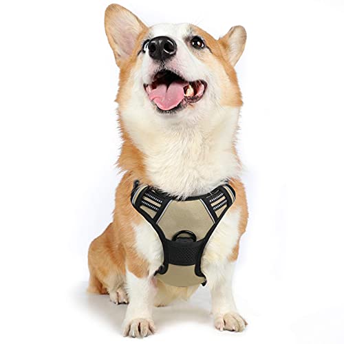rabbitgoo Dog Harness, No-Pull Pet Harness with 2 Leash Clips, Adjustable Soft Padded Dog Vest, Reflective No-Choke Pet Oxford Vest with Easy Control Handle for Medium Dogs, Beige, M