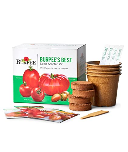 Burpee Best Starter Kit | SuperSauce, Fourth of July, Shimmer & Steakhouse | 4 Tomato Seed Packets, 4 Pots, 4 Coir Pellets & 4 Plant Markers