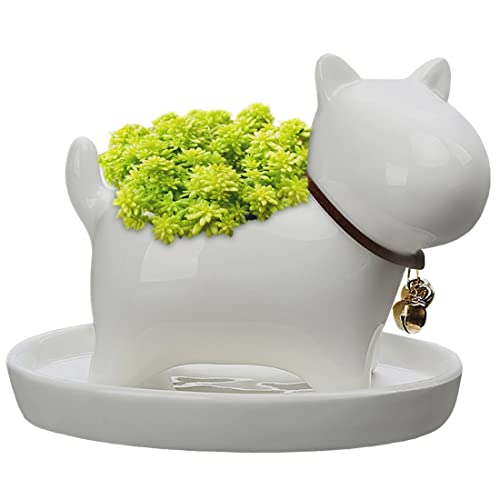 GeLive Dog Succulent Planter with Tray Saucer Fun Animal Ceramic Plant Pot Flower Vase, 5 inch, Indoor Outdoor Usage (White)