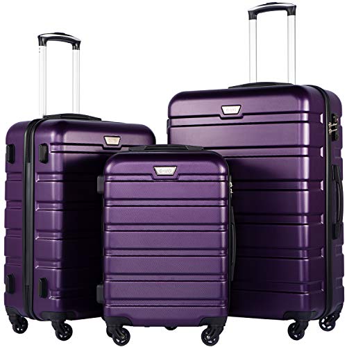 Coolife Luggage 3 Piece Set Suitcase Spinner Hardshell Lightweight TSA Lock (purple2)