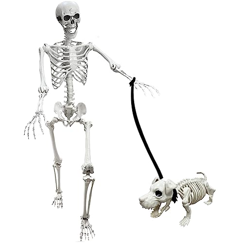 Lodou 5.4Ft Posable Life Size Human Adult Skeletons with Dog Skeleton, Plastic Human Bones with Movable Joints for Halloween Decoration