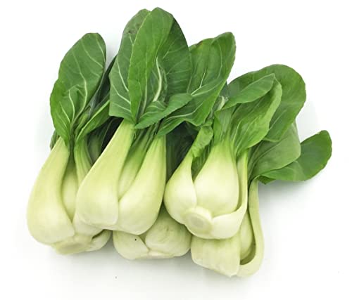 for 2024! HipGirl 700 Baby Bok Choy Seeds for Sprouting,Cabbage Seeds for Planting,Microgreen Seeds Planting Seeds for Home Vegetable Garden. (Pak Choi Shanghai Seeds(上海青江菜),2g, 700 Seeds)