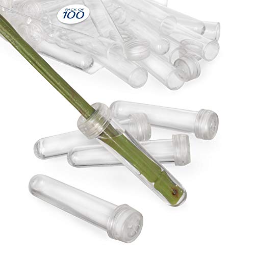 Royal Imports Floral Water Tubes/Vials for Flower Arrangements, Clear - 3' (1/2' Opening) - Standard - 100/Pack - w/Caps