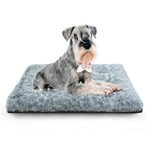 KISYYO Dog Beds for Small Dogs Deluxe Pet Beds for Crates Washable Dog Bed Mat, 24 x 18 x 3 Inches, Grey