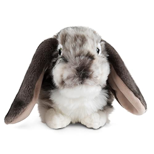 Living Nature Grey Dutch Lop Eared Rabbit Stuffed Animal | Fluffy Rabbit Animal | Soft Toy Gift for Kids | 10 inches