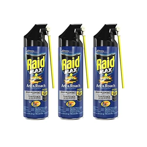 Raid Max Ant & Roach Aerosol Spray 14.50 oz ( Pack of 3)