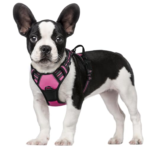 rabbitgoo Dog Harness, No-Pull Pet Harness with 2 Leash Clips, Adjustable Soft Padded Dog Vest, Reflective No-Choke Pet Oxford Vest with Easy Control Handle for Small Dogs, Hot Pink, S
