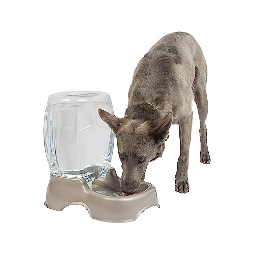 Petmate Pet Cafe Waterer Cat and Dog Water Dispenser 4 Sizes, 3 GAL, Pearl Tan, Made in USA