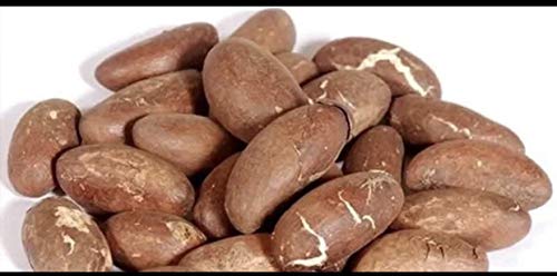 Bitter Kola Nut Garcinia Kola Cola 1 Lb