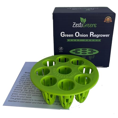 Easiest Green Onion Regrower. Includes Ergonically Designed Lid & Instructions for Beginners. Save Money with This Cool Kitchen Regrower