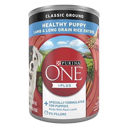 Purina ONE Plus Wet Puppy Food Classic Ground Healthy Puppy Lamb and Long Grain Rice Entree - (Pack of 12) 13 oz. Cans
