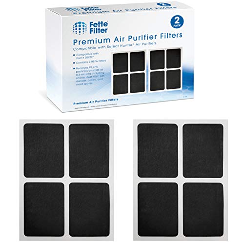 Fette Filter - Replacement HEPAtech Filters Compatible with Hunter 30920 30050 30055 30065 37065 30075 30080 30177 30070 30905 30054 30062 30832 30868 30882 30883 37055 30071- Pack of 2