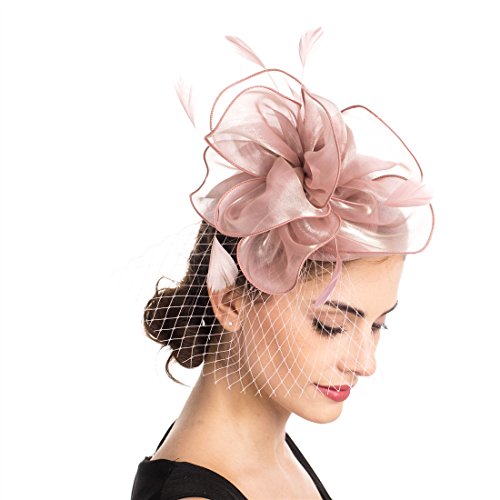 SAFERIN Fascinator for Women Hair Clip Hat Bowler Feather Flower Veil Wedding Party Hat Tea Hat（TA2-Pink）