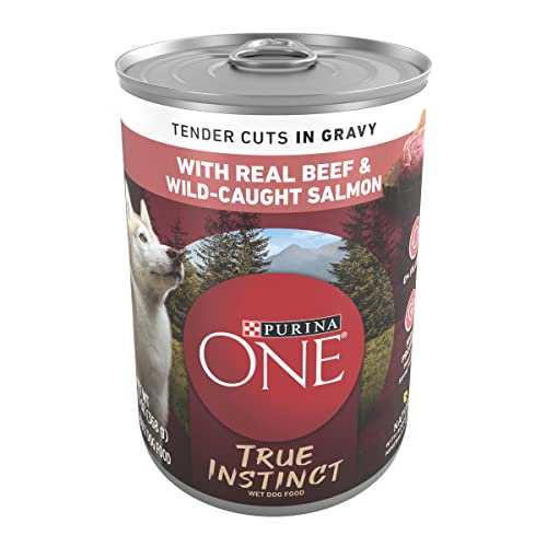 Purina ONE High Protein Wet Dog Food True Instinct Tender Cuts in Dog Food Gravy With Real Beef and Wild-Caught Salmon - (Pack of 12) 13 oz. Cans