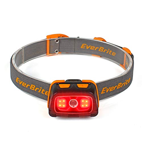 EverBrite 300 Lumens Headlamp with Red/Green/White Light Modes, Tail Light, Adjustable Headband - For Trail Running, Camping, Hiking