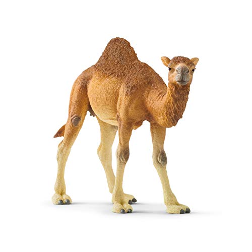 Schleich Wild Life Realistic Dromedary Camel Figurine - Authentic and Highly Detailed Wild Animal Toy, Durable for Education and Fun Play, Perfect for Boys and Girls, Ages 3+, Multicolor, 3.9 inch
