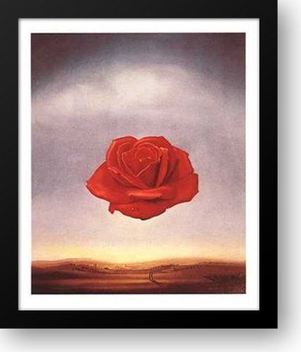 Meditative Rose, c.1958 20x24 Framed Art Print by Dali, Salvador