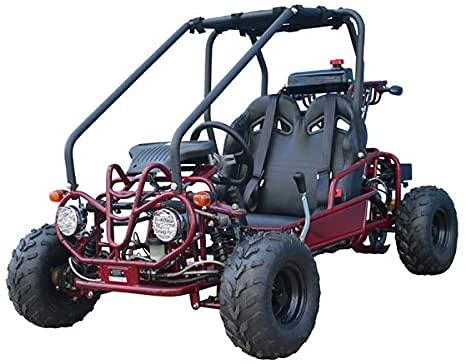 TAO GK110 Gokart with Upgraded 110cc Engine Fully Automatic Gas gokart with Reverse (Choose Your Color)