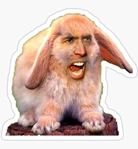 Nicolas Cage - Sticker Decal - Decorative Sticker - Scrapebooks, Cars, Windows, Laptops, Waterbottles