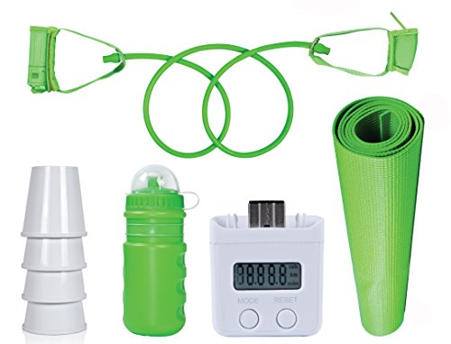 Wii Fit Master Exercise Kit
